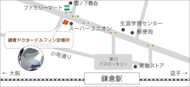 鎌倉ドクタードルフィン診療所 所在地 アクセス(地図)